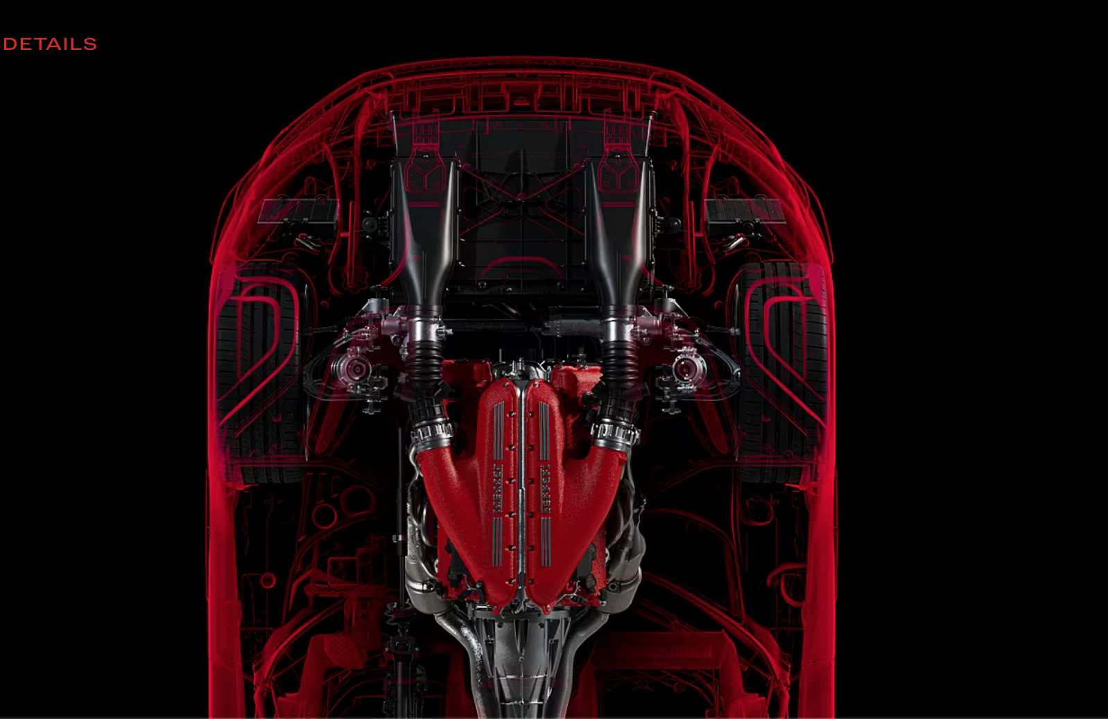 V12 Emotion *  Ferrari Stallion 12-Cilindri